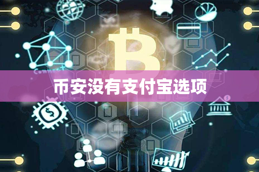 币安没有支付宝选项