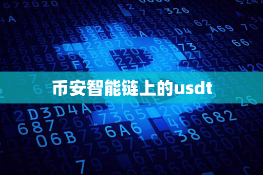 币安智能链上的usdt