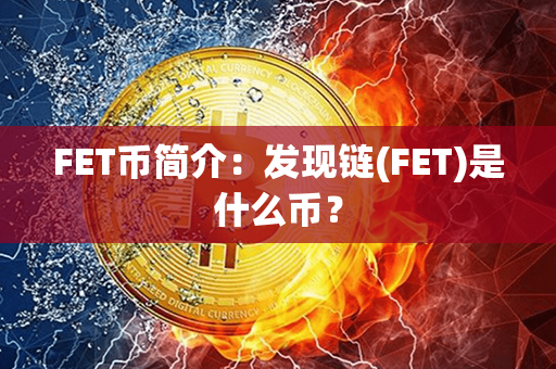 FET币简介：发现链(FET)是什么币？