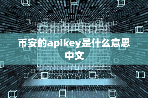 币安的apikey是什么意思中文