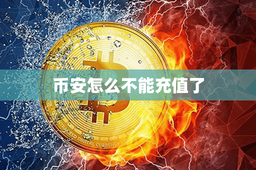 币安怎么不能充值了