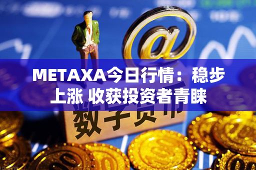 METAXA今日行情：稳步上涨 收获投资者青睐