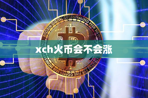 xch火币会不会涨