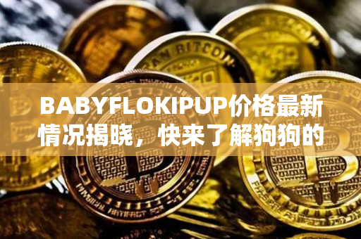 BABYFLOKIPUP价格最新情况揭晓，快来了解狗狗的超萌魅力！