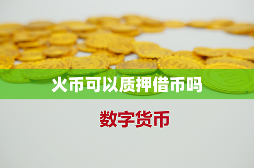 火币可以质押借币吗