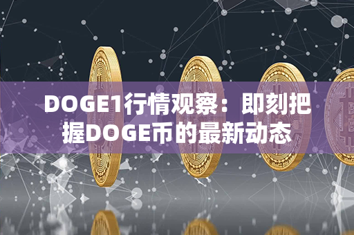 DOGE1行情观察：即刻把握DOGE币的最新动态