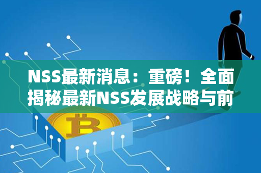 NSS最新消息：重磅！全面揭秘最新NSS发展战略与前景展望