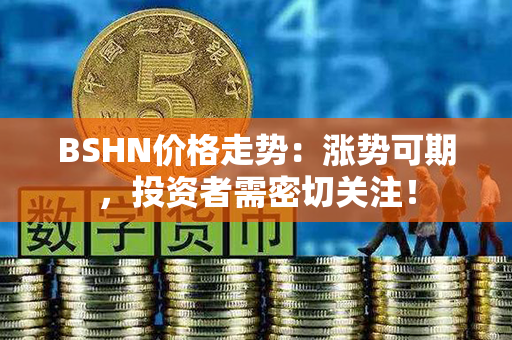 BSHN价格走势：涨势可期，投资者需密切关注！