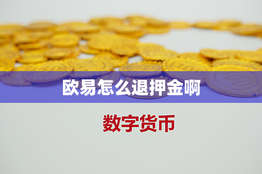 欧易怎么退押金啊