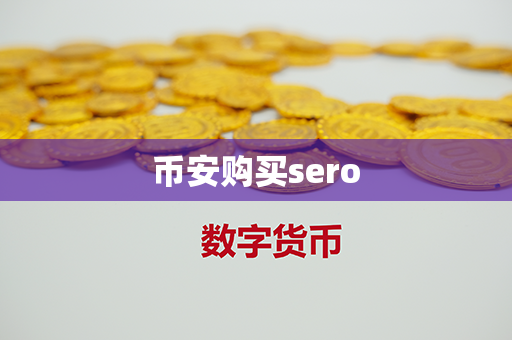 币安购买sero