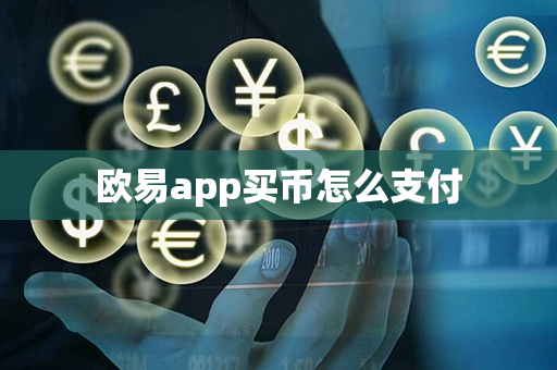 欧易app买币怎么支付