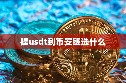 提usdt到币安链选什么