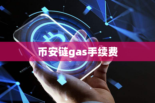 币安链gas手续费