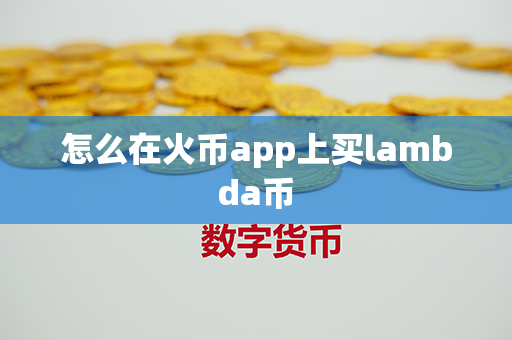 怎么在火币app上买lambda币