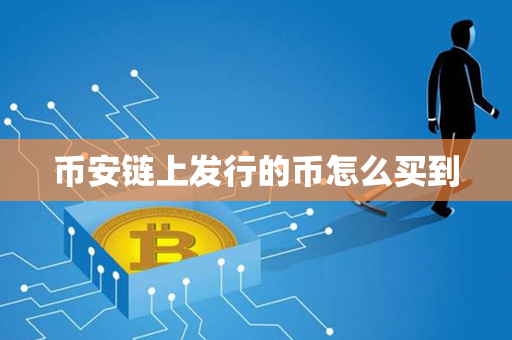 币安链上发行的币怎么买到