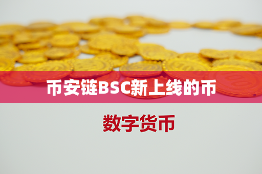 币安链BSC新上线的币