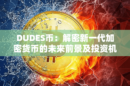 DUDES币：解密新一代加密货币的未来前景及投资机会