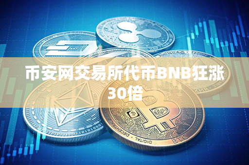 币安网交易所代币BNB狂涨30倍