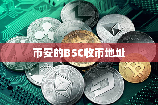 币安的BSC收币地址